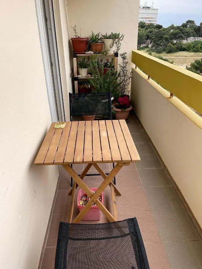 Apartment Todorovic - Macan Pula